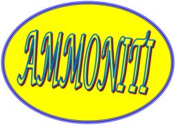 ammoniti.png
