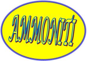 ammoniti.png